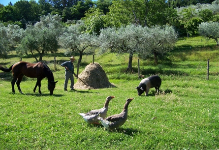 Agricoltura naturale Giorgetti