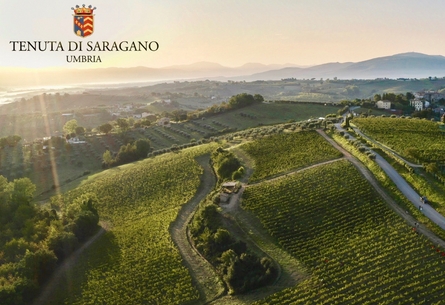 Tenuta di Saragano