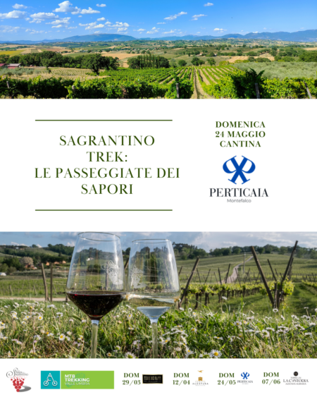 24 MAGGIO 2026 CANTINA PERTICAIA